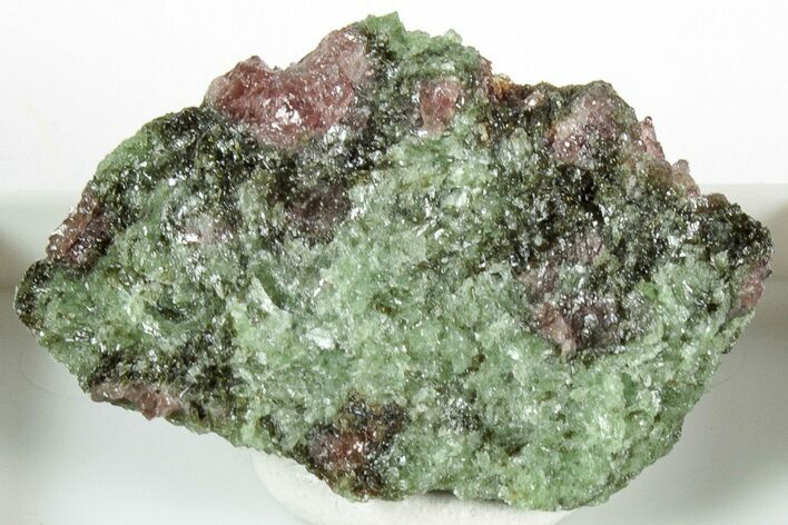 Pyrope, Forsterite, Diopside & Omphacite Association - Norway #317096